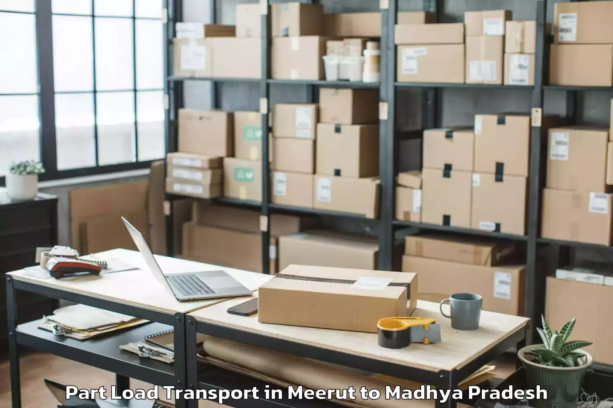 Reliable Meerut to Khajuraho Airport Hjr Part Load Transport